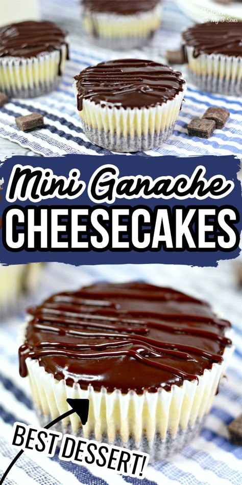 Mini Chocolate Ganache Cheesecake is a delicious cheesecake layered on top of a homemade chocolate crust with chocolate ganache poured on top. Brownie Cheesecake With Chocolate Ganache, Chocolate Topped Cheesecake, Chocolate Ganache For Cheesecake, Recipes With Chocolate Ganache, Chocolate Ganache Desserts, Chocolate Topping For Cheesecake, Chocolate Crust Cheesecake, Cheesecake Ganache, Ganache Cheesecake