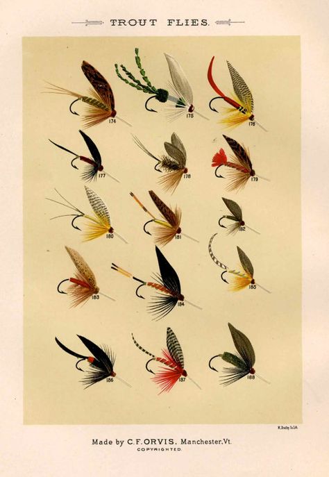 Fly Fishing Art, Trout Flies, Fly Fishing Tips, Bass Fishing Lures, Bass Fishing Tips, Salmon Fish, Fishing Flies, Freshwater Fishing, Gone Fishing