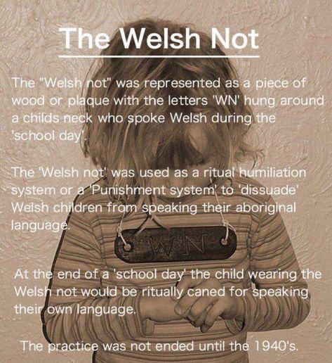 Welsh Symbols, Welsh Tattoo, Welsh Sayings, Welsh Culture, Welsh History, Welsh Heritage, Anthropology Major, Welsh Ancestry, Learn Welsh