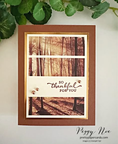 Fall Greeting Cards, Stampin Pretty, Autumn Paper, Dsp Cards, Autumn Cards, Leaf Cards, Paper Crafting Projects, Fall Mini, Cardmaking Ideas