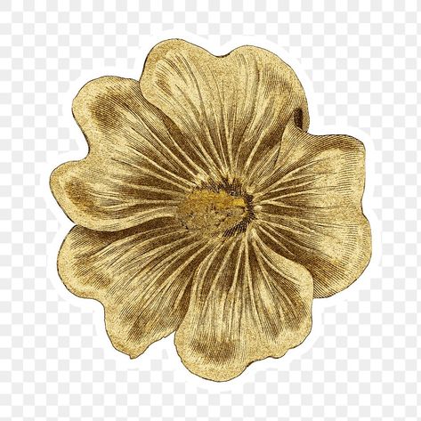 Vintage gold Alcea Rosea flower sticker with white border | premium image by rawpixel.com / nap Alcea Rosea, Gold Clipart, Arte Aesthetic, Sticker Flower, Vintage Png, Paper Wall Hanging, Floral Png, Flower Icons, Gold Stickers