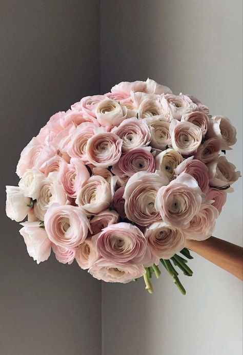 Wedding Australia, Ranunculus Bouquet, Boquette Flowers, Nothing But Flowers, Flower Therapy, Beautiful Bouquet Of Flowers, Luxury Flowers, Flower Lover, Beautiful Bouquet