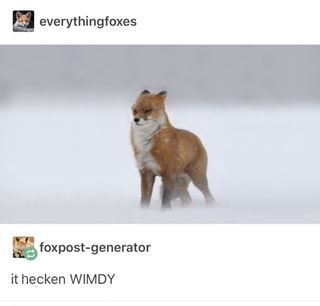 hecken windy Quotes Laughter, Fox Memes, Cats Funny, Funny Animal Memes, Drawing Tutorials, Animal Memes, Cute Funny Animals, Tumblr Funny, 귀여운 동물