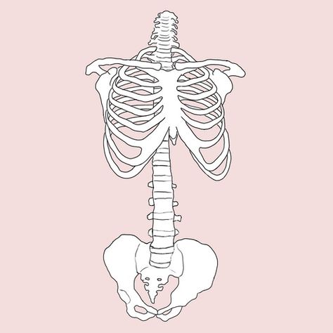 Bone Drawing, Tumblr Transparents, Anatomy Bones, Skeleton Anatomy, Skeleton Drawings, Human Skeleton, Travel Art, Drawing Reference, Drawing Sketches