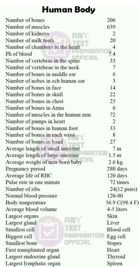 About Human Body Human Body Limits, Human Body Knowledge, Health Knowledge English, Anatomy Learning Tips, Basic Medical Knowledge, Human Body Systems Notes, Study Tips Biology, Types Of Doctors List, Human Biology Aesthetic