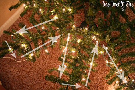 Christmas Lights Outdoor Trees, Christmas Lights Tree, Christmas Lights On House, Xmas Tree Lights, Christmas Lights Wallpaper, Christmas Lights Outside, Diy Christmas Lights, Hanging Christmas Lights, Cheap Christmas Diy