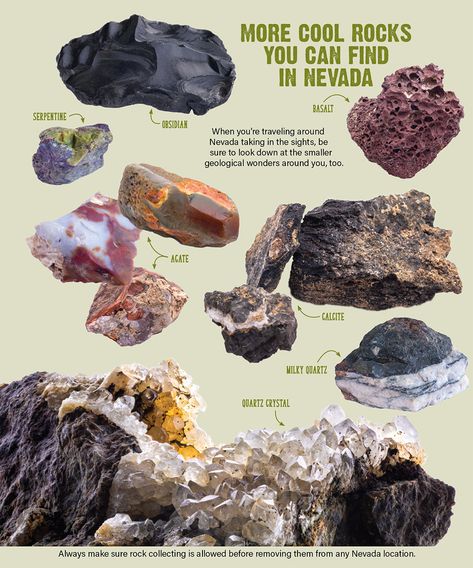 Rock Identification Pictures, Nevada Ghost Towns, Arizona Rocks, Geology Rocks Mineral, Mineral Identification, Rock Identification, Rock Collecting, Rock Tumbling, Geode Rocks