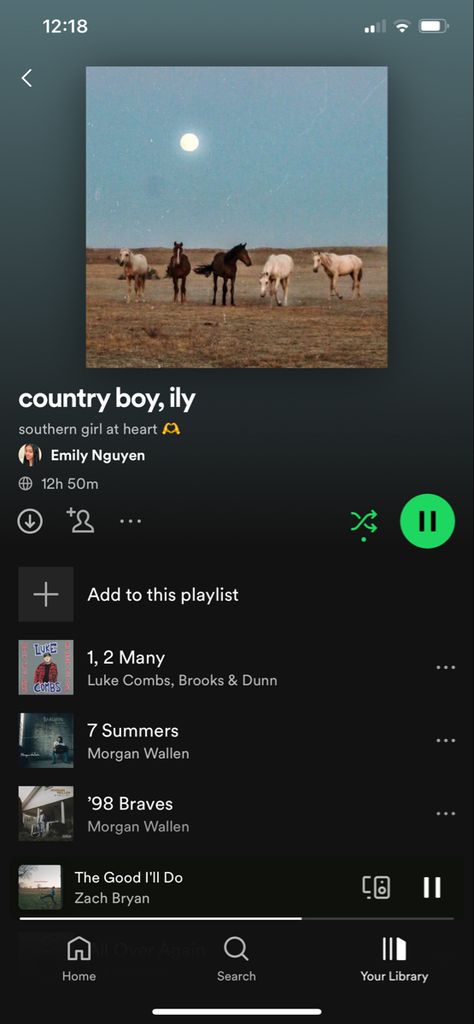 Spotify Covers Country, Country Spotify Playlist Names, Country Music Playlist Names, Country Playlist Names Ideas, Country Spotify Playlist Cover, Country Music Playlist Cover, Country Playlist Names, Country Aesthetic Playlist Cover, Playlist Aesthetic Spotify