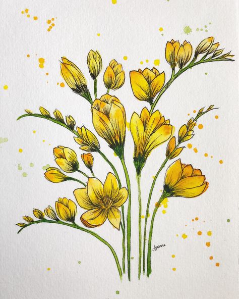 Freesia Flower Painting, Freesia Painting, Freesia Drawing, Freesia Watercolor, Freesia Flower, Acrylic Flower Painting, Freesia Flowers, Watercolor Pictures, Diy Watercolor Painting