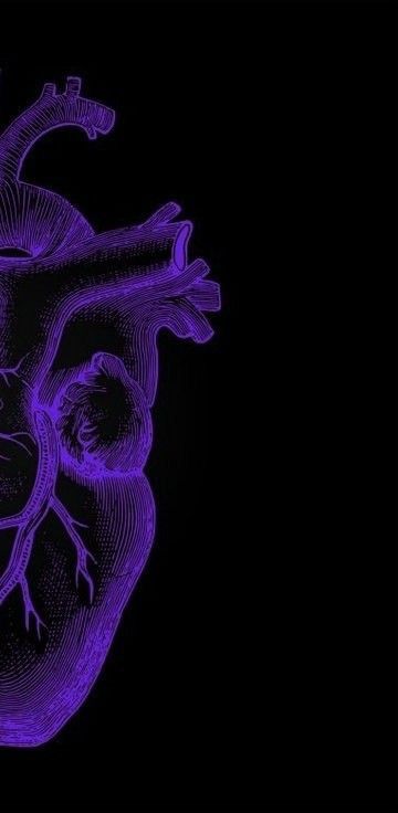 Purple Human Heart Wallpaper, Wallpaper Human Heart, Human Heart Wallpaper Purple, Heart Organ Wallpaper, Copley Profile, Blue Human Heart, Heart To Heart Wallpaper Matching, Human Heart Wallpaper, Real Heart Wallpaper