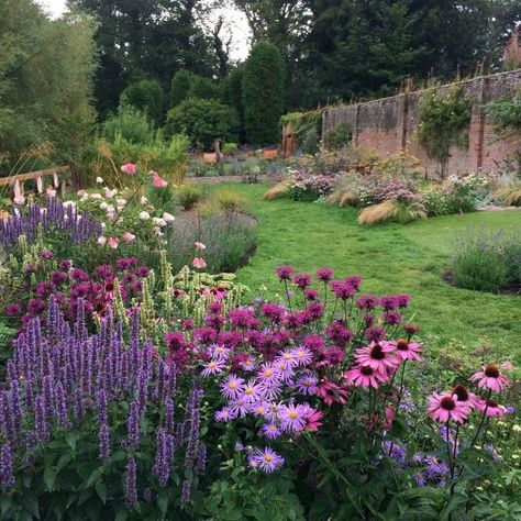 Howick Hall’s Sensory Garden – Susan Rushton Sensory Garden, Cottage Garden Design, Garden Help, Wildflower Garden, Garden Borders, Perennial Garden, Gorgeous Gardens, English Garden, Front Garden