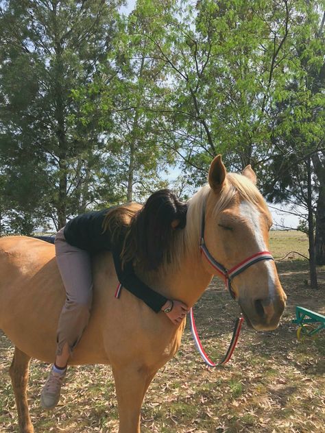 Palomino Horse Aesthetic, Horseback Riding Aesthetic, Rider Aesthetic, Horse Palomino, Equestrian Pictures, Horsey Life, Horse Riding Aesthetic, Rare Horses, Horse Riding Outfit