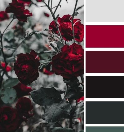 Color Combinations With Burgundy, Red Paint Palette, Dark Wedding Theme Color Schemes Colour Palettes, Dark Romance Wedding Color Palettes, Dark Romantic Color Palette, Dark Color Palettes, Color Palettes With Black, Red Pallete Color, Dark Red Palette