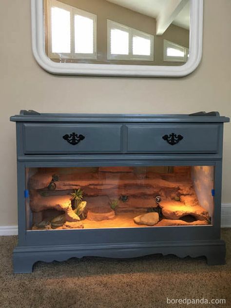 A Dresser Turned Into A Lizard Terrarium! Tartaruga Habitat, Bartagamen Terrarium, Lizard Terrarium, Bearded Dragon Diy, Diy Reptile, Bearded Dragon Enclosure, Bearded Dragon Terrarium, Snake Terrarium, Bearded Dragon Cage