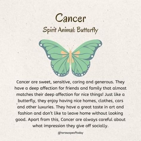 Celtic Zodiac, Animal Butterfly, Grunge Posters, Astrology And Horoscopes, Zodiac Sign Traits, Zodiac Signs Funny, Zodiac Art, Zodiac Facts, Spirit Animal