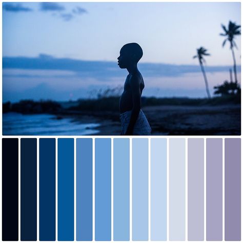 Color Film Collection on Instagram: “Moonlight” Moonlight 2016, Moonlight Aesthetic, Barry Jenkins, Monochromatic Photography, Color In Film, Movie Color Palette, Beautiful Cinematography, Film Collection, Shot Film