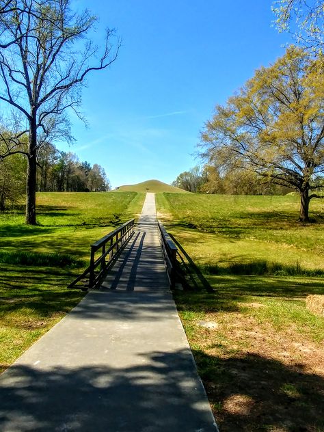 Mcdonough Georgia, Macon Georgia, Southern Travel, Smithsonian Institution, Georgia On My Mind, Mississippi River, The Visitors, Native American Indians, Mother Earth