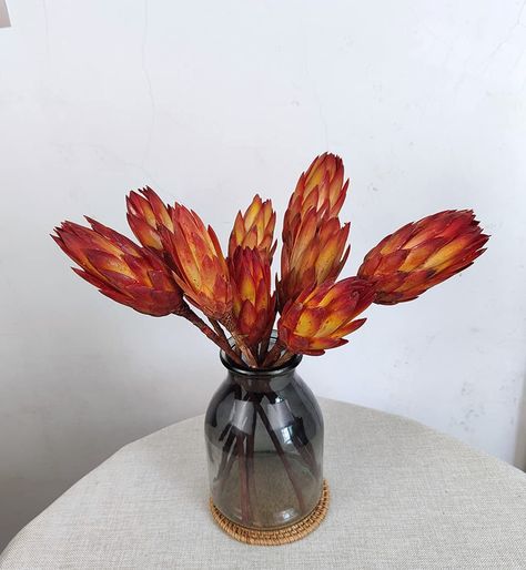 PRICES MAY VARY. ● Packaging ● A package contains 4 pcs protea flower, the overall length is about 28-36cm, the overall color is reddish orange, We have carefully selected them, but each one will still be different. ● Natural ● This is a protea flower that grows naturally, After drying and non-toxic dyeing,, it can be stored for about 2-3years, different from plastic flowers, it is a real plant with better texture ● Use● It is easy to use and can be directly trimmed and applied to your vase with Wedding Plants Decor, Dried Protea, Filled Vases, Flower Branches, Wedding Plants, Protea Flower, Flower Style, Unique Flower, Vase Fillers