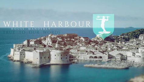 Westeros Castle, Game Of Thrones Places, House Manderly, Westeros Aesthetic, Winterfell Castle, Game Of Thrones Castles, White Harbor, Game Of Thrones Map, Harbor City