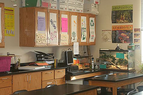 Teacher Aesthetic Science, Teachers Desk Aesthetic, Science Teacher Aesthetic Classroom, Chesney Core, Science Room Aesthetic, Science Classroom Aesthetic, Biology Teacher Aesthetic, 2000s Classroom, Science Class Aesthetic