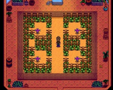 Trellis design Iridium Sprinkler Layout, Stardew Valley Iridium, Stardew Valley Wine, Greenhouse Layout, Stardew Farms, Stardew Valley Layout, Stardew Valley Farms, Recipe Art, Wine Recipe