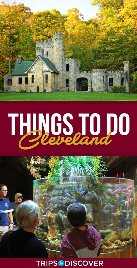 Things To Do In Cleveland Ohio Fall, Ohio Vacations, Nature Exploration, Cleveland Rocks, Ohio Travel, Kids Vacation, Family Vacation Destinations, Beautiful Park, Fall Travel