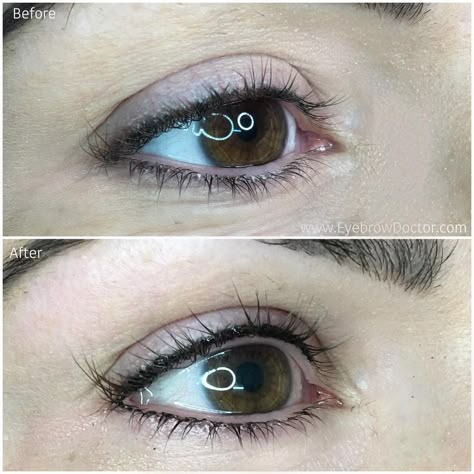 Lash Enhancement Tattoos - Permanent Eyeliner Eye Lash Tattoo, Permanent Makeup Studio, Permanent Makeup Eyeliner, Permanente Make-up, Permanent Eyeliner, Eyelash Enhancer, Shape Tattoo, Eyeliner Tattoo, Minimal Makeup