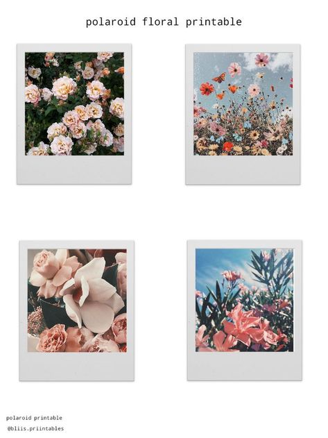 this is one of my polaroid printables used for decoration,journal,cards and etc Polaroid Photography, Polaroid Frame, Scrapbook Background, Vintage Polaroid, Bullet Journal Diy, Art Journal Therapy, Floral Printables, Travel Stickers, Bullet Journal Stickers