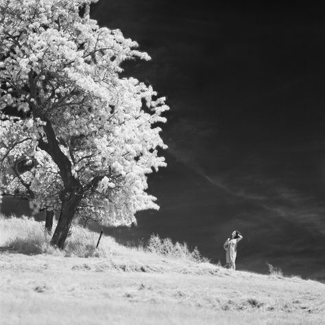 Infrared Photography Landscapes, Infrared Film Photography, Infrared Photography Black And White, Hasselblad Photography, Photography Lookbook, Infrared Photography, Vampire Weekend, Camera Obscura, 4th Street