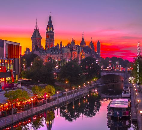 Sunny summer sunsets. Ottawa. - Charles Ruthari Photography. | Facebook Ottawa Aesthetic, Ottawa Photography, Ottawa City, Ottawa Travel, Fav Place, Ottawa Canada, Ottawa Ontario, World Cities, Summer Sunset