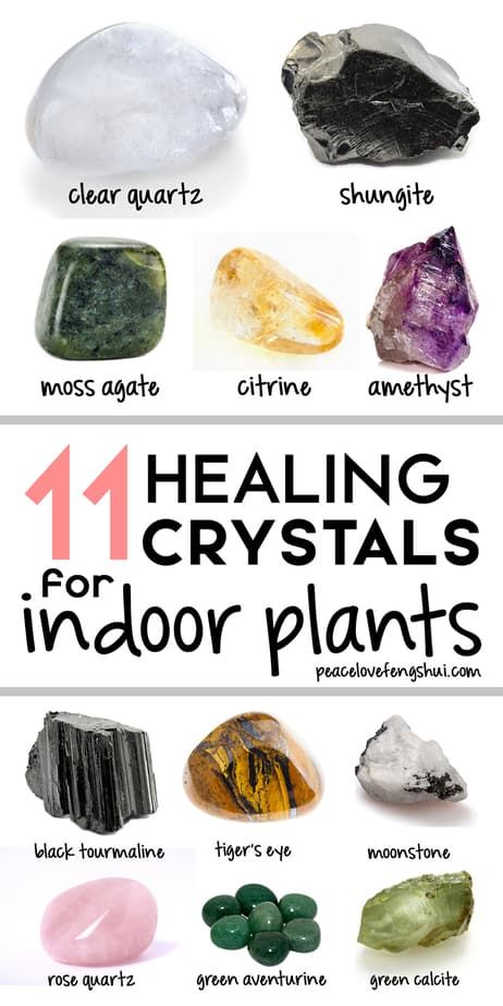 11 healing crystals for indoor plants! how to use crystals in your houseplants to boost positive energy and good vibes! Crystals For House, Crystals For Plants, House Plant Accessories, Feng Shui Good Luck, Crystals For Luck, Feng Shui Plants, Best Healing Crystals, Sacred Garden, Growing Greens