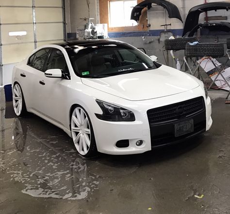 7thgen maxima custom white on white vossen 22" wheels Custom Nissan Maxima, Nissan Altima Custom, Nissan Maxima 2017, 2010 Nissan Maxima, 2009 Nissan Maxima, Nissan Trucks, Body Stickers, Nissan Infiniti, Car Goals