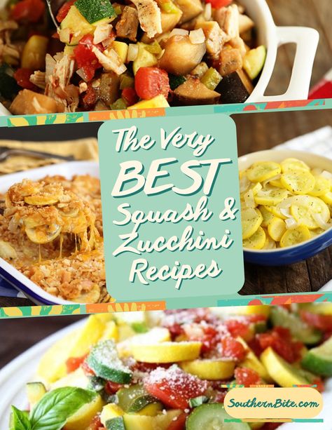 Squash Zucchini Recipes, Summer Squash Casserole, Squash And Zucchini, Summer Squash Recipes, Squash Zucchini, Squash Casserole Recipes, Bacon Wrapped Pork, Fresh Tomato Recipes, Funnel Cakes