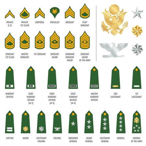 Military ranks shoulder badge, army soldier straps Military Ranks Army, British Army Regiments, Chief Officer, Army Ranks, Military Ranks, Master Sergeant, Lieutenant General, Army Rangers, Staff Sergeant