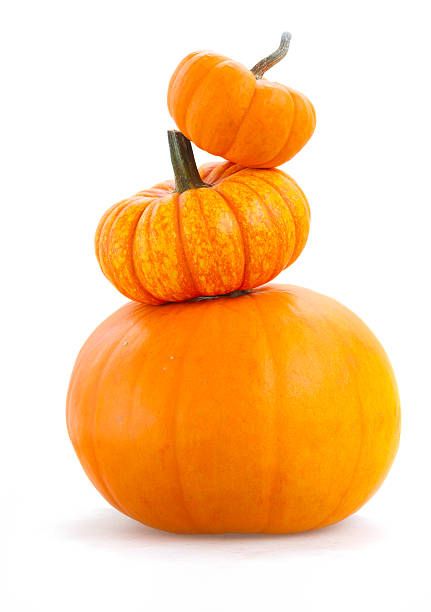 16,590 Stacked Pumpkin Stock Photos, Pictures & Royalty-Free Images - iStock Pumpkin Stack, Pumpkin Images, Pumpkin Photos, Stacked Pumpkins, Beautiful Fruits, Painted Pumpkins, Processed Food, Halloween Pumpkins, Royalty Free Images