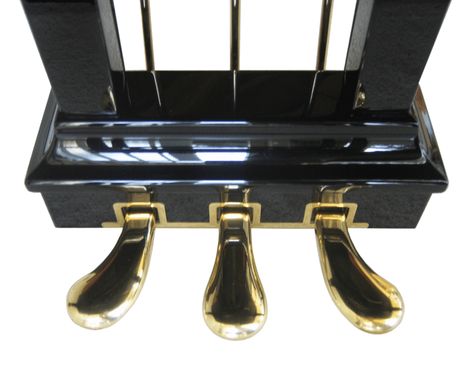 Piano Pedals, Oboe Reed, Steinway Grand Piano, Mountain Dulcimer, Electric Guitar Kits, Piano Parts, Piano Studio, Moonlight Sonata, Guitar Kits