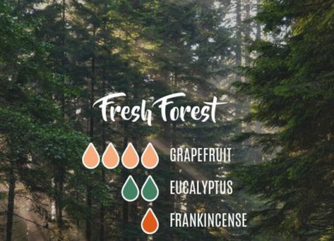 Fresh, spa -- diffuser blend Doterra Diffuser Blends, Essential Oil Combinations, Doterra Essential Oils Recipes, Essential Oil Diffuser Blends Recipes, Toilet Spray, Oil Diffuser Recipes, Essential Oil Diffuser Recipes, Cedarwood Oil, Essential Oil Mixes