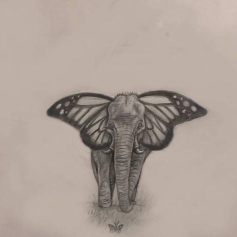 Elephant Wings Tattoo, Girly Elephant Tattoo, Tattoos That Go With Butterflies, Elephant Tattoo On Back, Butterfly And Elephant Tattoo, Elephant Knee Tattoo, Butterfly Elephant Tattoo, Elephant Tattoos With Butterflies, Elephant Tattoos Stencil