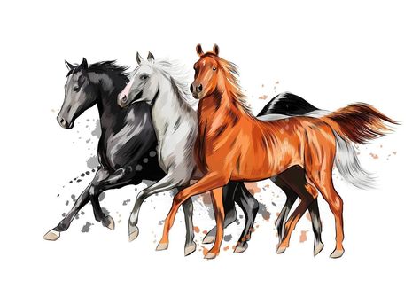 Running Illustration, Three Horses, Painted Horses, Horse Sketch, Winged Horse, Horse Illustration, Water Drawing, Two Horses, Horse Drawing