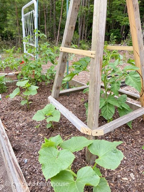 Wooden Garden Trellis, Garden Trellis Designs, Cheap Raised Garden Beds, Building A Trellis, Trellis Ideas, Terra Cotta Clay Pots, Garden Obelisk, Diy Trellis, Porch Railing