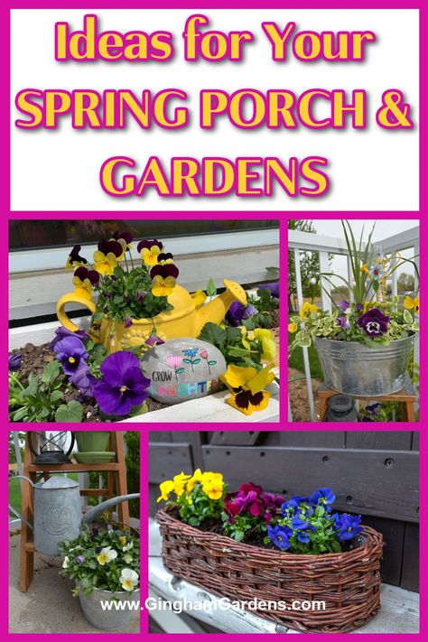 Goodbye Winter and Hello Spring! Welcome to a season of renewal and vibrant hues as we delve into enchanting spring makeovers for your porch and garden. Learn to create a haven that dazzles with a burst of colors, chirping birds and blooming flowers. Add charm into your outdoor spaces, just in time for spring! Spring porch pots. Spring Porch Pots, Spring Flower Garden, Goodbye Winter, Spring Perennials, Porch Pots, Flower Garden Ideas, Chirping Birds, Spring Planter, Early Spring Flowers