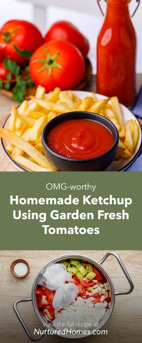 OMG-worthy Homemade Ketchup Using Garden Fresh Tomatoes - Nurtured Homes Ketchup Recipe Fresh Tomatoes, Tomato Side Dishes, Homemade Ketchup Recipes, Spicy Ketchup, Ketchup Recipe, Fresh Tomato Recipes, Homemade Ketchup, Varieties Of Tomatoes, Homemade Condiments