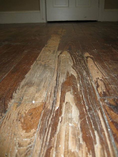 How to refinish a hardwood floor — the complete manifesto | Offbeat Home Diy Hardwood Floors, Refinish Wood Floors, Floor Refinishing, Hardwood Floors Dark, Refinishing Hardwood Floors, Refinishing Floors, Floor Colors, Diy Home Repair, Home Repairs