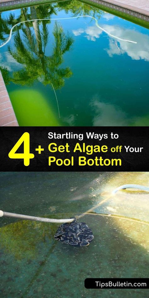 Find out the best ways to get dead algae off the bottom of the pool. Black algae is the hardest to eliminate. Learn the importance of regularly cleaning your pool filter and checking pH, calcium… Cleaning Above Ground Pool, Doughboy Pool, Pool Cleaning Tips, Pool Algae, Pool Black, Solar Pool Cover, Above Ground Pool Liners, Pool Shock, Pool Hacks