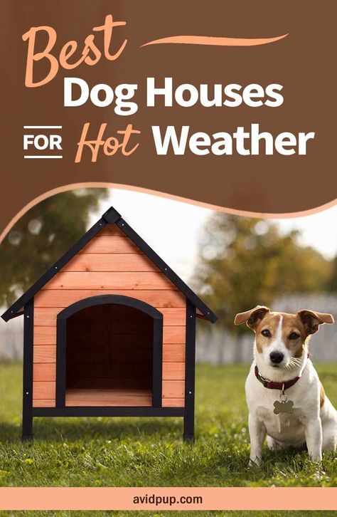 Top 5 Best Dog Houses For Hot Weather, Summer & Warm Climates Easy Dog House, Outdoor Dog House, Outside Dogs, Cool Dog Houses, Paw Balm, Dog Area, Personalized Dog Gift, Group Of Dogs, Home Dog