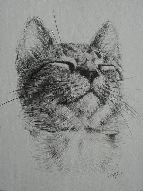 Drawing Cat Face, Drawing Tutorial Cat, Cat Hand Drawing, Cat Drawing Sketches, Cat Drawings Simple, Realistic Cat Drawing, Cat Drawing Simple, Cat Drawing Ideas, Cat Face Drawing