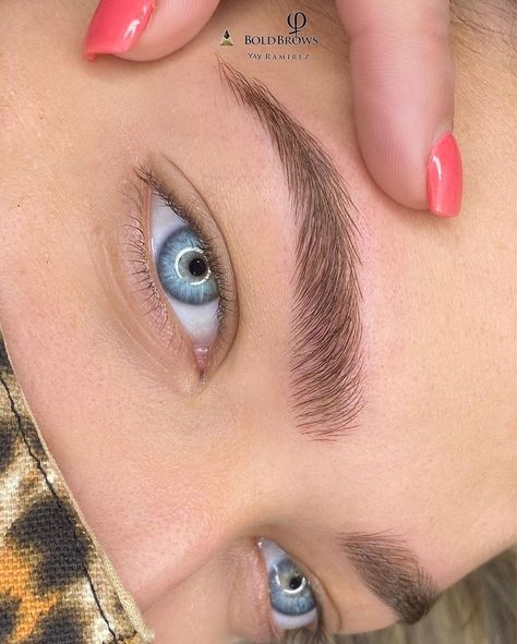 Microblading Eyebrows Hair Strokes, Straight Microbladed Eyebrows, Feather Brows Microblading, Fluffy Brows Microblading, Eyebrow Microblading Natural, Micro Bladed Brows, Microblading Eyebrows Natural Look, Fluffy Microbladed Brows, Light Brows Eyebrows