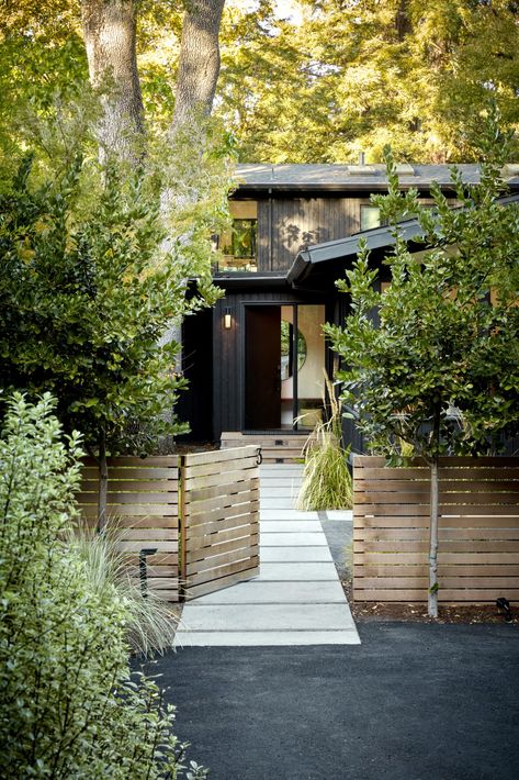 Japandi Yard - Shades of Green Landscape Architecture Japandi Yard, Japandi House Exterior, Japandi Exterior, Japandi Garden, Black Architecture, Northwest Landscaping, Muted Palette, Front Yard Design, Garden Entrance