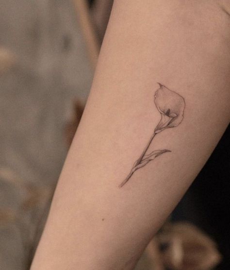 Tiny Lily Tattoo, Calalillies Tattoo, Easter Lily Tattoo, Calla Lily Tattoo, Lilly Tattoo, Flor Tattoo, Lillies Tattoo, 7 Tattoo, Tasteful Tattoos