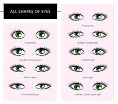 Shapes Of Eyes, Eye Shape Chart, Different Eye Shapes, Different Types Of Eyes, Eyes Vector, Eye Shape Makeup, Woman Eyes, Book Vector, Almond Shaped Eyes